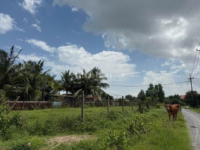 Đất 2 mặt tiền 15*53 đường 577