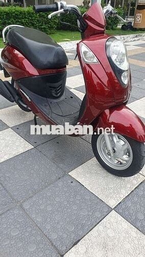 Elite 50cc 2019.May rin iem ru.