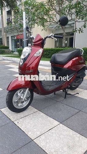 Elite 50cc 2019.May rin iem ru.