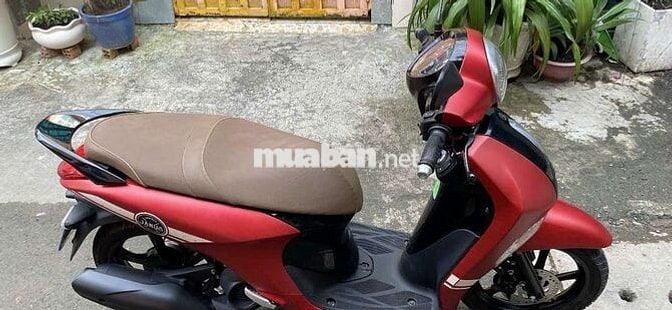 Cân ban janut 2022 bstp