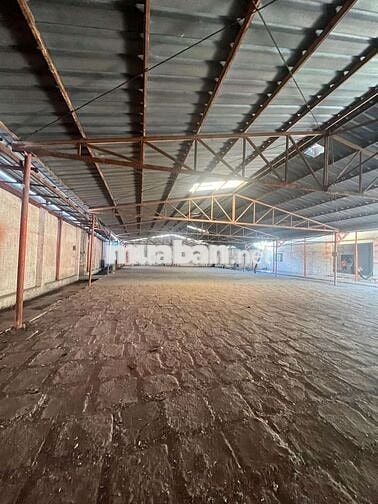 Cần cho thuê kho xưởng khu vực thuân giao thuân an binh dương