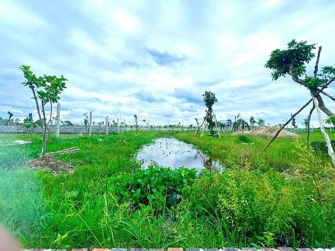 Bán đất vườn thổ 1600m có 200m thổ cư P Gò Dầu đất vuông vức 2tr/m2