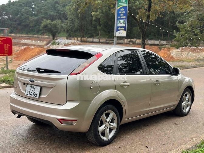 Ford Focus 2011 Vàng cát