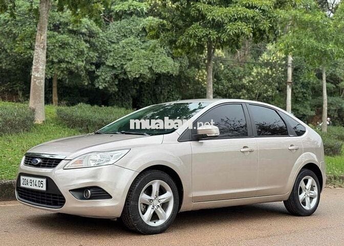Ford Focus 2011 Vàng cát