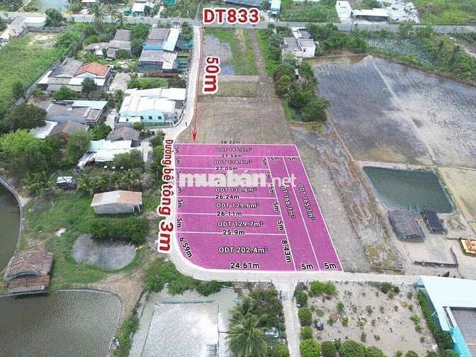 Đất sổ đỏ 134m2 thổ cư, ngay trung tâm  Thị trấn Tân Trụ.