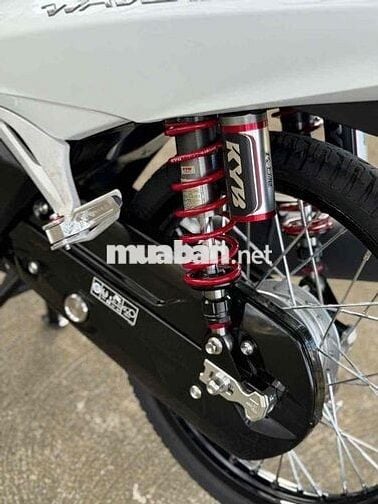 Fu Led 2025 có góp