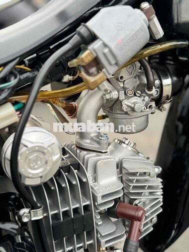 anffa dọn kiểng leng keng như hình bao mới