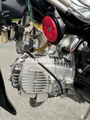 anffa dọn kiểng leng keng như hình bao mới