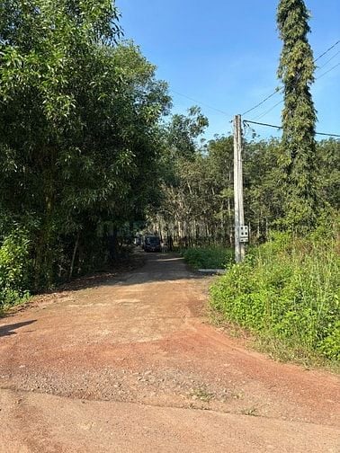 ✳️ LÔ ĐẤT “ĐÓN SÓNG PHÁT TRIỂN” TẠI AN VIỄN – GIÁ CỰC TỐT