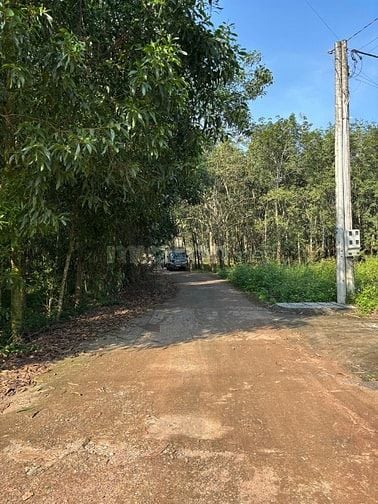 ✳️ LÔ ĐẤT “ĐÓN SÓNG PHÁT TRIỂN” TẠI AN VIỄN – GIÁ CỰC TỐT