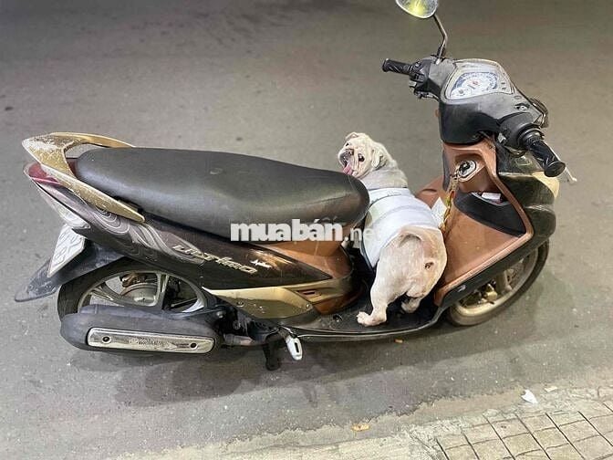 Nhà dư xe cần thanh lý xe để trống nhà