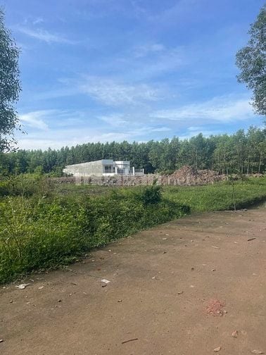 ✳️ LÔ ĐẤT “ĐÓN SÓNG PHÁT TRIỂN” TẠI AN VIỄN – GIÁ CỰC TỐT