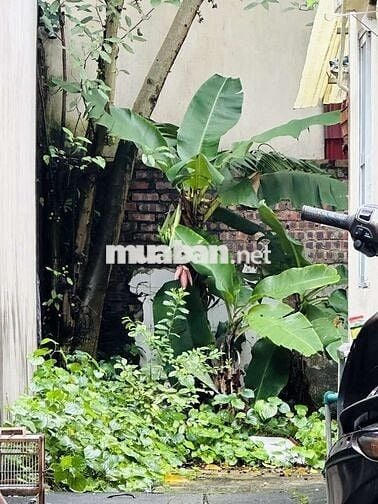 🌟 VIỆT HƯNG – ĐẤT ĐẸP 60m² – GIÁ CHỈ 7,9 TỶ
📍 Vị trí đắc địa .