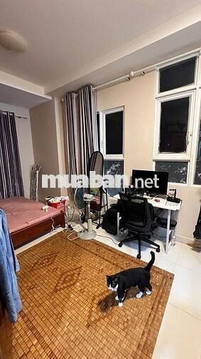 🏠 BÁN CĂN HỘ HOA SEN 2PN FULL NỘI THẤT SỬA ĐẸP CÓ SỔ HỒNG 🔥