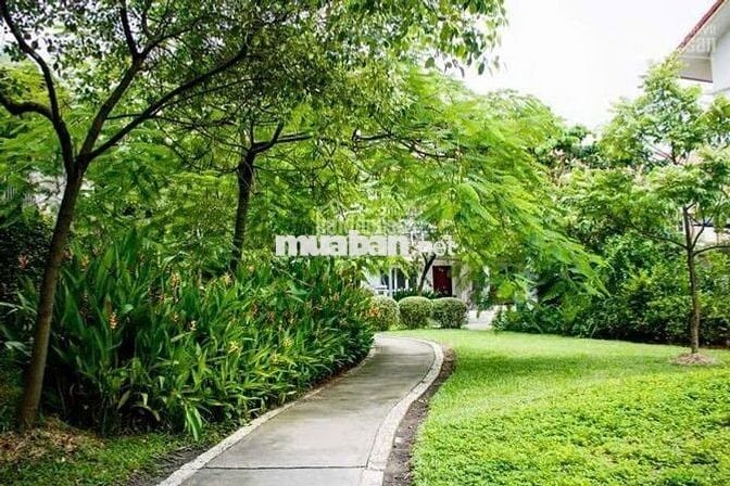 cho thuê căn hộ 1PN - 1WC EcoXuân, giá 4.5 triệu/tháng,có máy lạnh