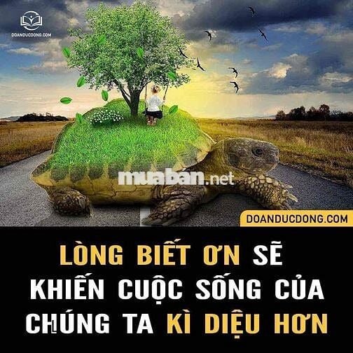 cho thuê kho đường gò ô môi 30x30 giá 40 tr