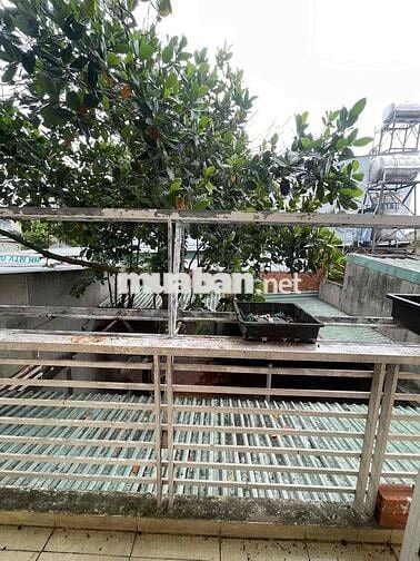 Cho thuê nhà Tân Hiệp sân rộng, 3 phòng ngủ