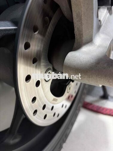 vario 160 bản thể thao xám xi măng