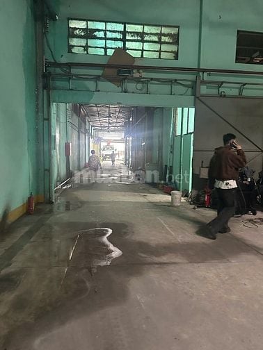 Cho thuê GẤP mặt tiền kinh doanh giá RẺ đường Tô Hiệu