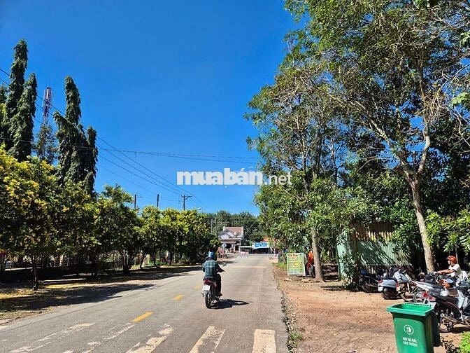 Bán Đất Có Trồng Cây Ăn Trái Sẵn