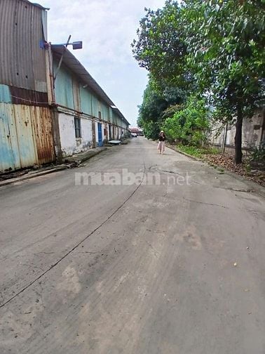 Nhà xưởng bán cụm công nghiệp , hoàng gia , đức hòa , long an 