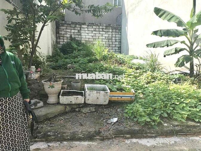 Bán Lô Đât 68m2 Sổ Riêng Ở Phường Tân Đông Hiệp - Dĩ An