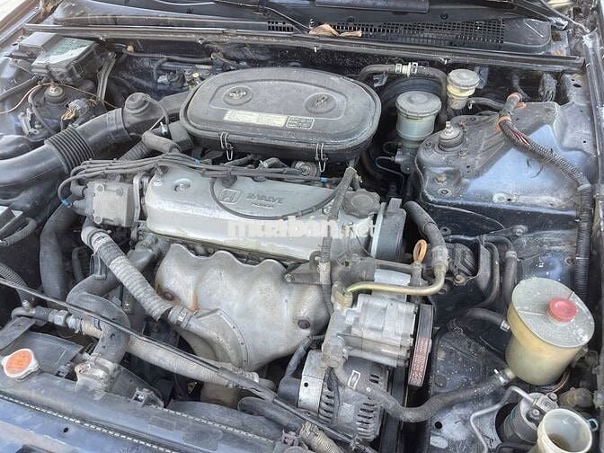 Honda Accord sưu tầm máy chất