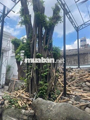 Cho thuê MbKD Mặt Tiền đường Tô Ngọc Vân sẵn mô hình cf,ngang 18m