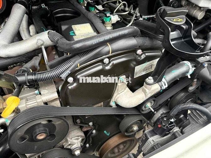 TRAINSIT 2019 XE DỊCH VỤ NỒI CHUẨN XE CHẤT