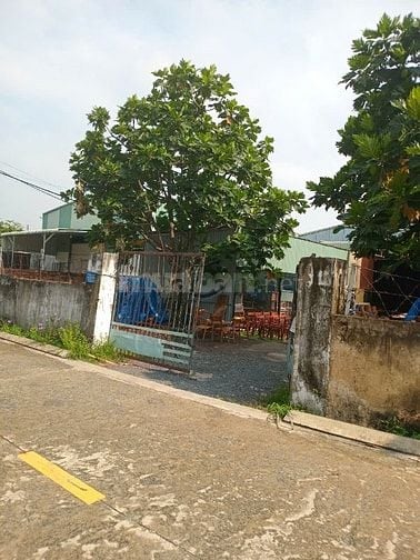 ĐẤT MẶT TIỀN ĐƯỜNG THẠNH LỘC 56, QUẬN 12