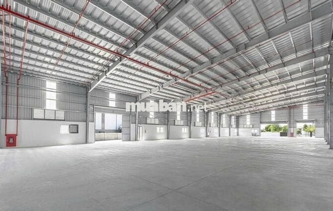 CHO THUÊ KHO XƯỞNG 7000m² – KCN ĐỨC HÒA, TÂY NINH