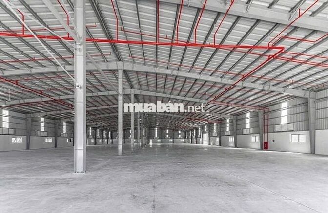 CHO THUÊ KHO XƯỞNG 7000m² – KCN ĐỨC HÒA, TÂY NINH