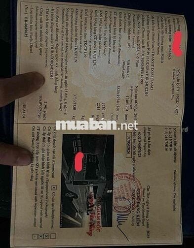 Ford Transit 2023 Tiêu chuẩn - 120000 km