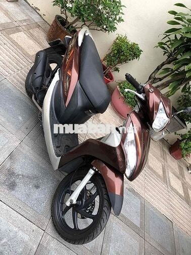 Vision biển số thành phố