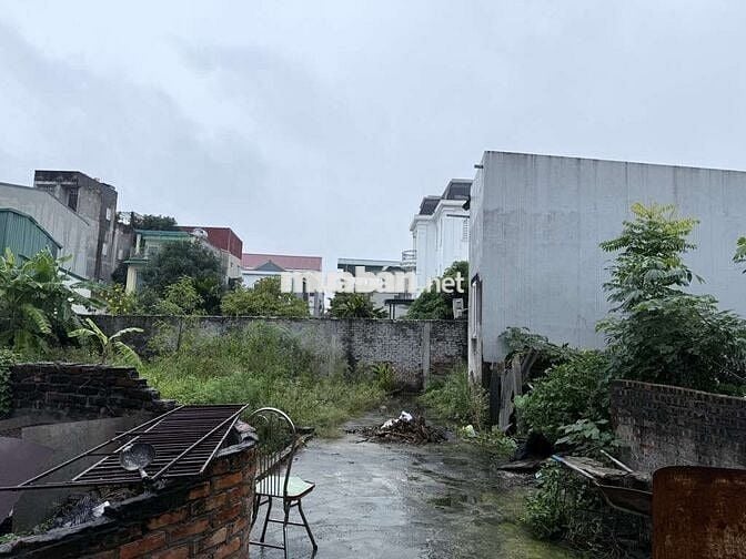 Bán đất đa tốn gia lâm diện tích 60m2, giá 5,16ty