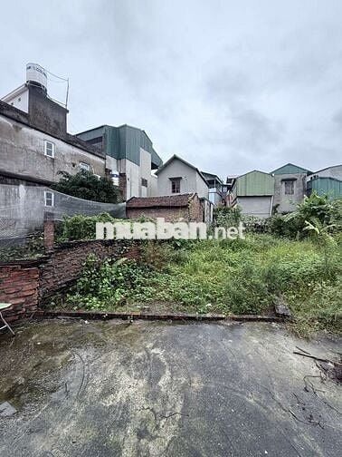 Bán đất đa tốn gia lâm diện tích 60m2, giá 5,16ty