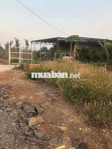 mình chính chủ muốn bán sào giá 850triêu lh ***