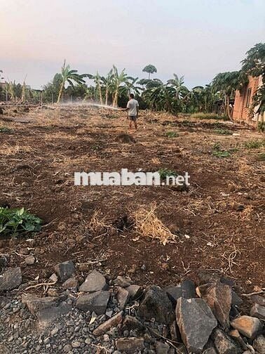 mình chính chủ muốn bán sào giá 850triêu lh ***