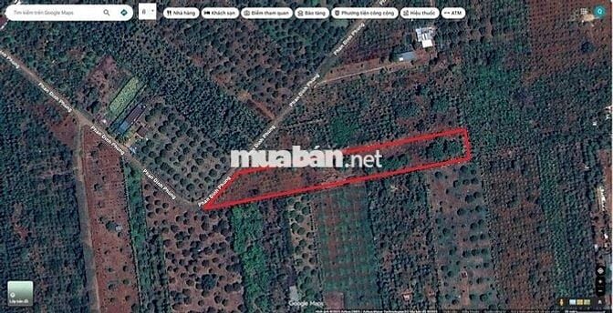 Chính chủ cần bán gấp 4,3 xào đất nn ngay trung tâm Quảng Phú