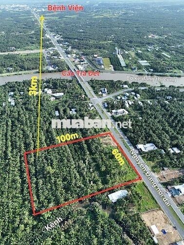 Bán 6.000m2 đất mặt tiền Nguyễn Đáng nối dài cách Cầu Trà Đét 100m