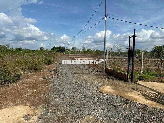 mình chính chủ muốn bán sào giá 850triêu lh ***