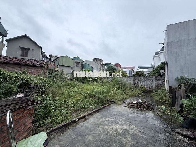 Bán đất đa tốn gia lâm diện tích 60m2, giá 5,16ty