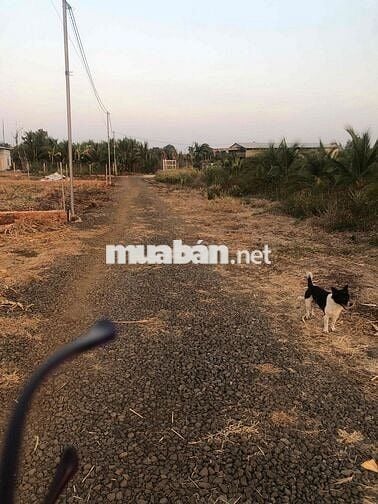 mình chính chủ muốn bán sào giá 850triêu lh ***