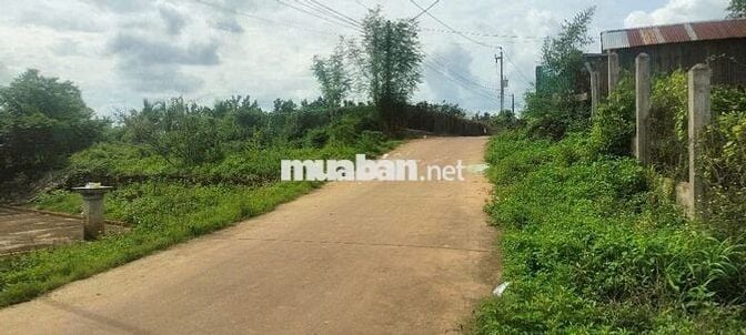 Đất vườn 1000m2 giá 650 triệu đường Điểu Xiển Bàu Trâm Long Khánh