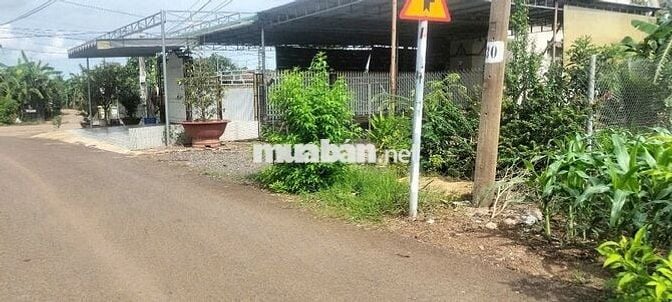 Đất vườn 1000m2 giá 650 triệu đường Điểu Xiển Bàu Trâm Long Khánh