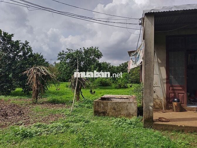 Đất vườn 1000m2 giá 650 triệu đường Điểu Xiển Bàu Trâm Long Khánh