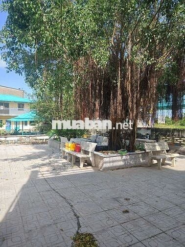 Nhà mặt tiền để ở hoặc kinh doanh, làm kho