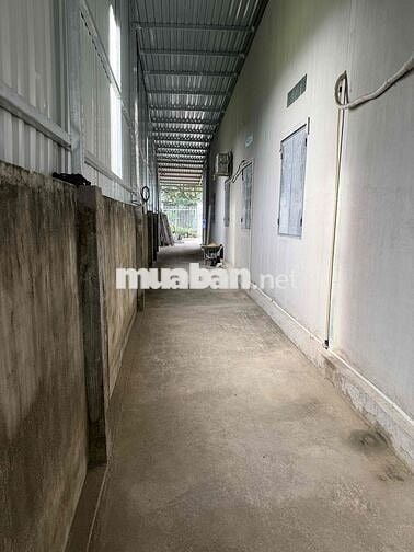 CHO THUÊ NHÀ XƯỞNG TẠI TÂN VĨNH HIỆP