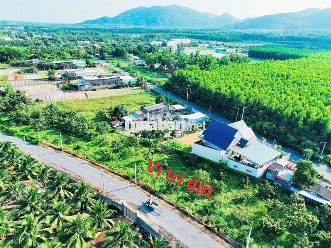 🌊 ĐẤT TRUNG TÂM THỊ TRẤN PHƯỚC HẢI – GẦN BIỂN – KHU DÂN CƯ GIÁ 980Tr