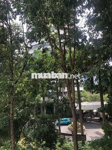 Bán nhà hiếm Ngô Tất Tố, rẻ nhất khu vực BT, 3 tầng, 12 phòng kèm WC.